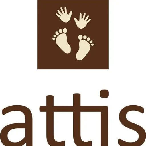 attis.lt